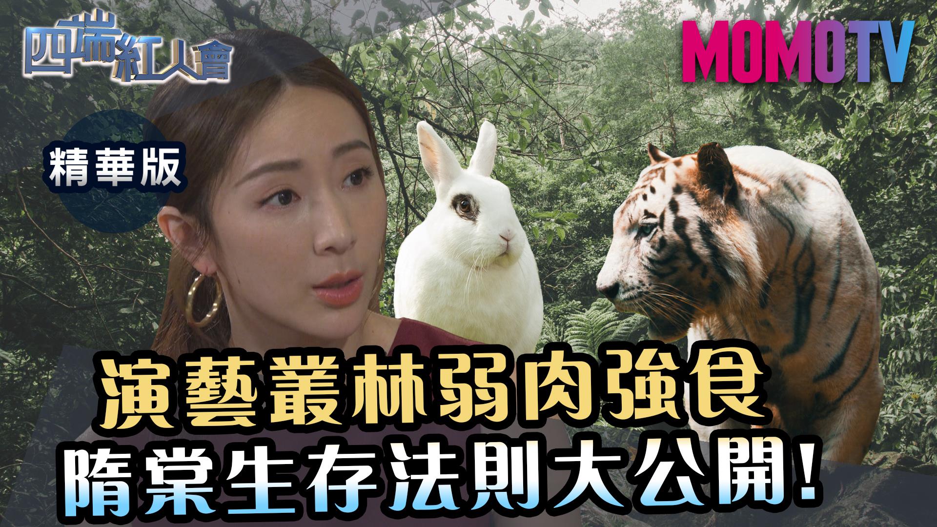 《四端紅人會》演藝叢林弱肉強食 隋棠生存法則大公開!