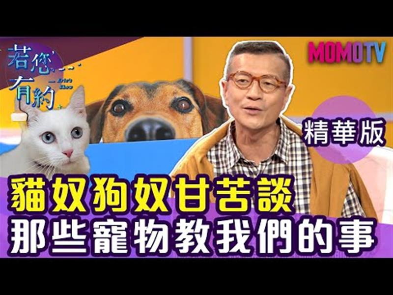 貓奴狗奴們!!寵物甘苦談，有了孩子更難想像...?【搶先看】20191111【徐小可、阿鎧老師】