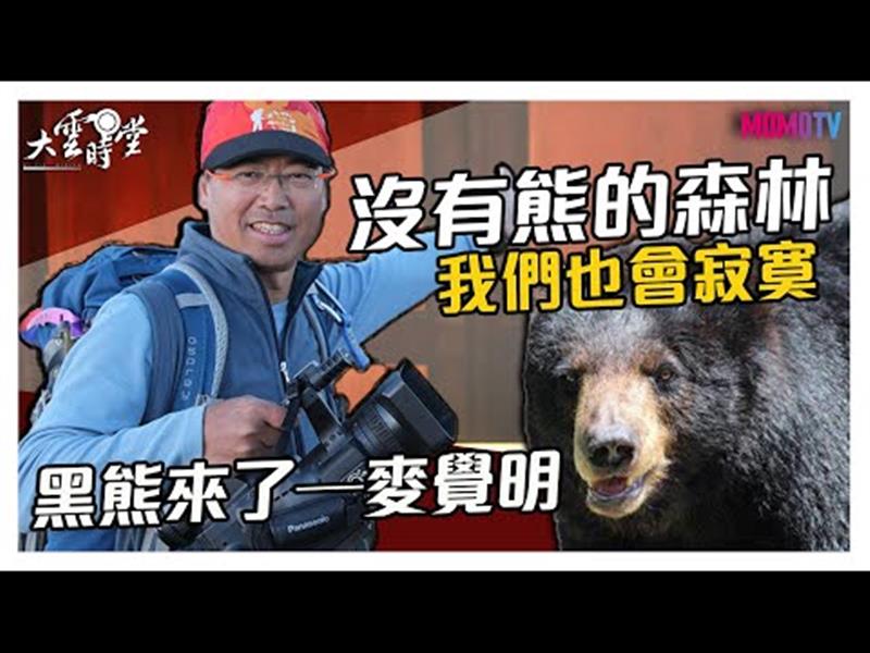 《大雲時堂》【完整版】熊熊危機！族人：沒有熊的森林，人也會寂寞...20191216【麥覺明、黃修德、朱有田】