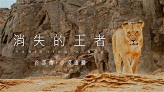 《消失的王者》EP1 沙漠雄獅 節目簡介