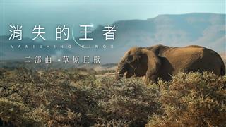 《消失的王者》EP2 草原巨獸 節目簡介