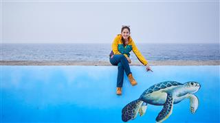 《愛遊台灣》EP49-50節目簡介：魅力金門、就是愛動物-海龜的奇蹟